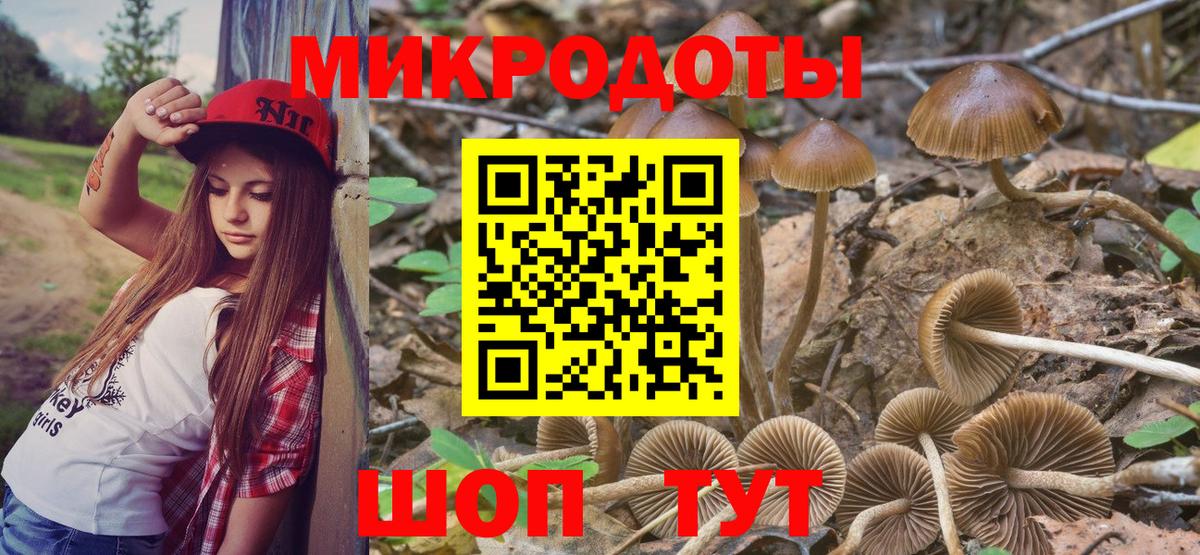 цена наркотик  Вход с VPN  Липецк  Галлюциногенные грибы Psilocybe  Псилоцибиновые грибы мицелий 