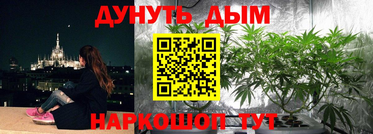 Марихуана сатива  Бошки марихуана марихуана  Вход с VPN  Шишки марихуана план  Шишки марихуана VHQ  Липецк 